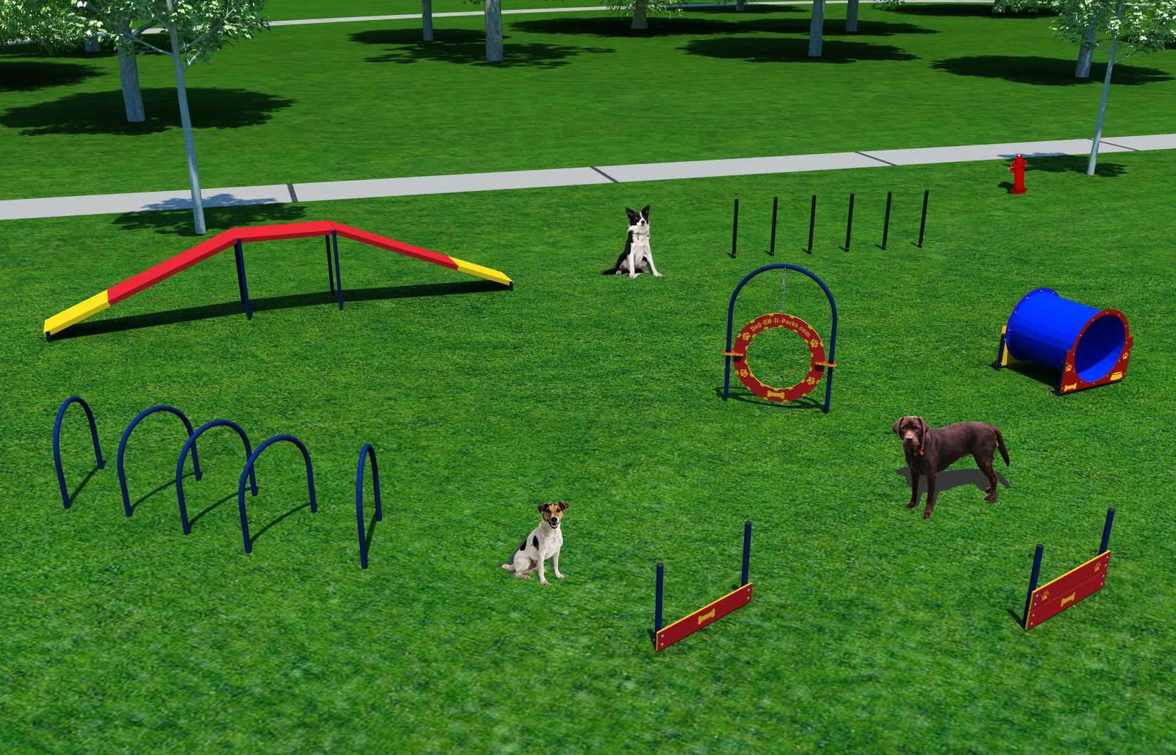 Чем занять собаку: игры с собакой дома и на улице (20 игр), как играть с собакой на прогулке