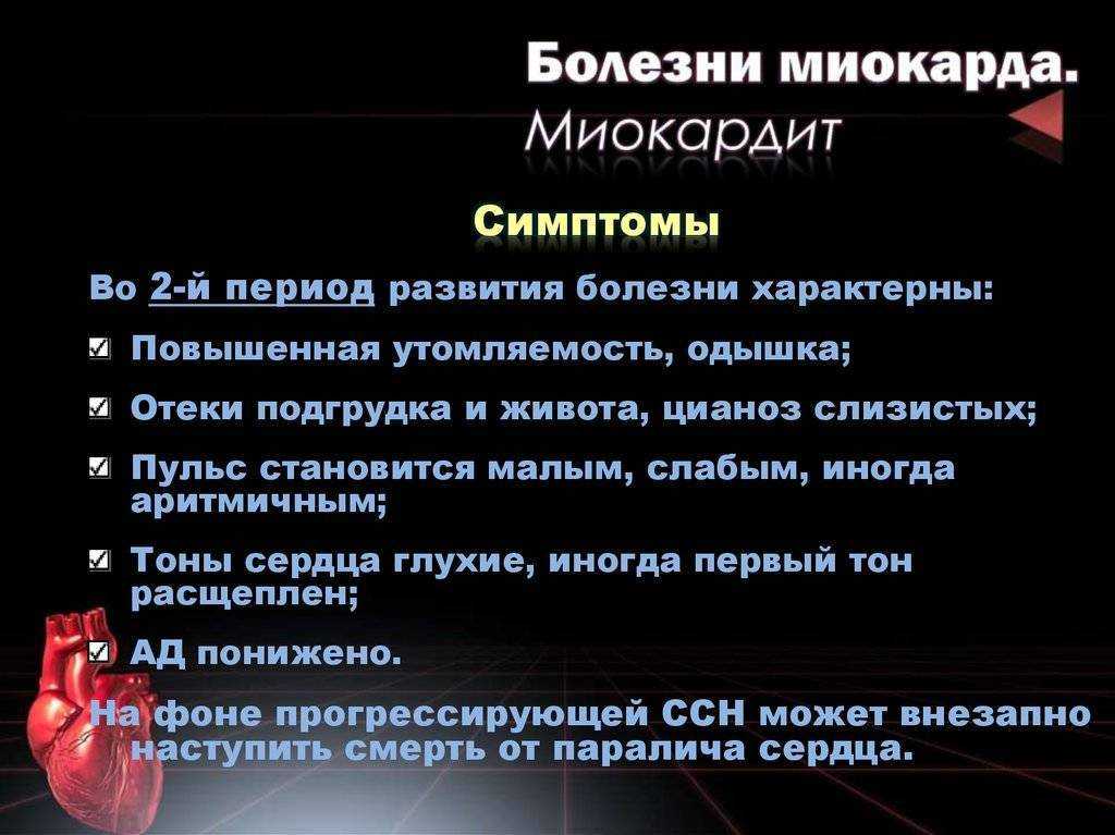 Увеличенное сердце у собак - признаки, симптомы и лечение