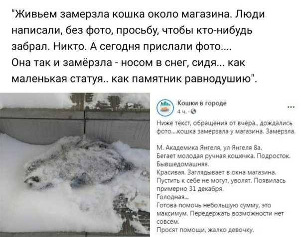 Помощь при обморожении