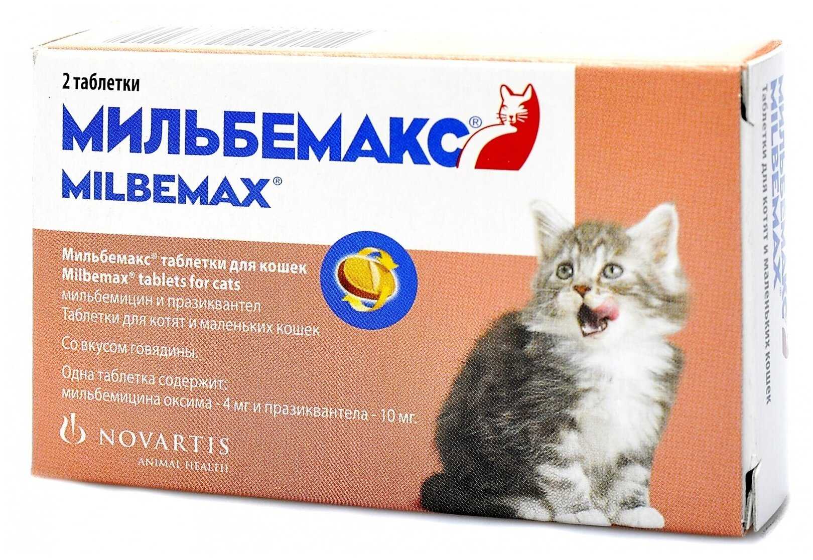 Мильбемакс для лечения и профилактики глистов у кошек