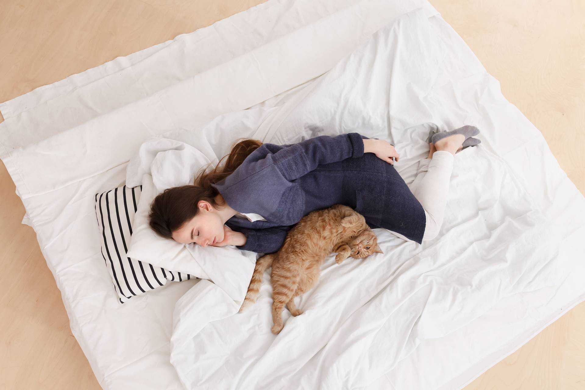 Почему кошки спят со мной. Котик в кроватке. Кровать для человека и кошки.