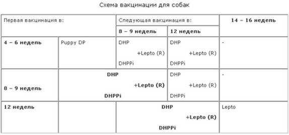 Нобивак схема вакцинации щенков