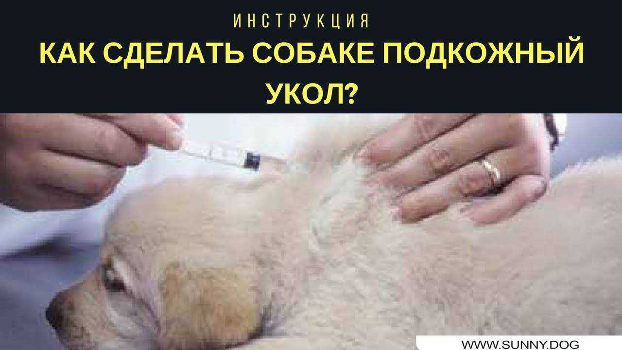 Инъекции антикоагулянтов – показания, как правильно их использовать | университетская клиника
