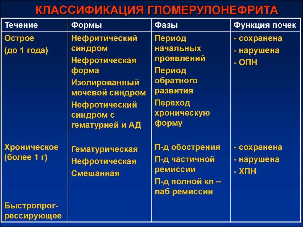 Поликистоз почек у кошек: причины заболевания, симптомы и лечение