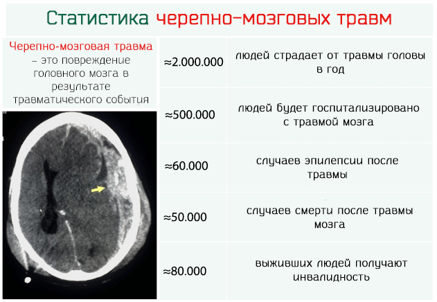 Симптомы сотрясения мозга у кошек