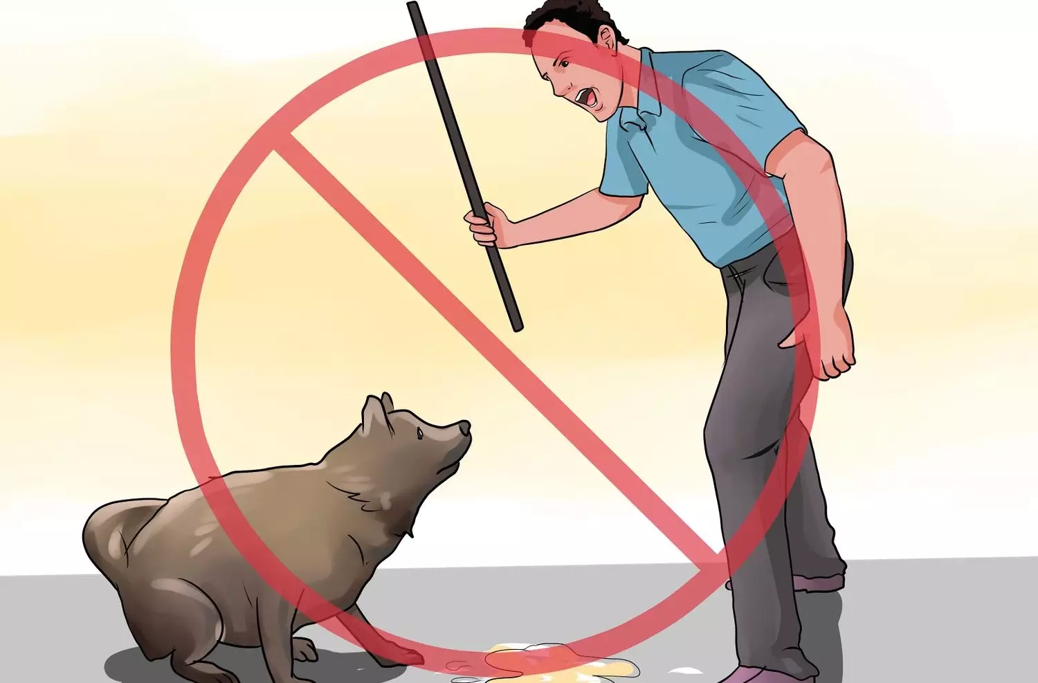 Можно ли наказывать собаку? секрет послушания | dogkind.ru