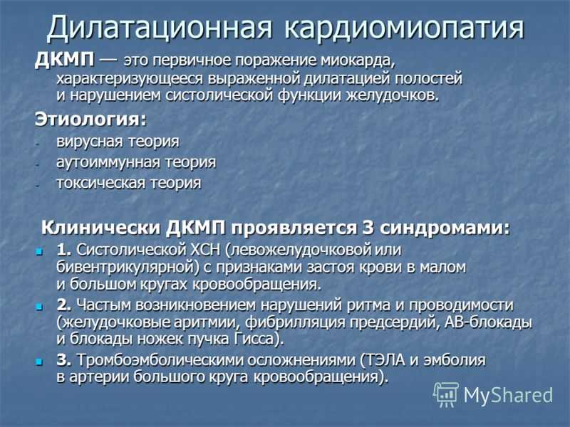 Что такое рестриктивная кардиомиопатия у кошек и лечение болезниветлечебница рос-вет