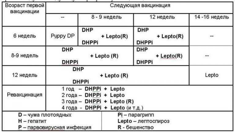 Нобивак для собак схема