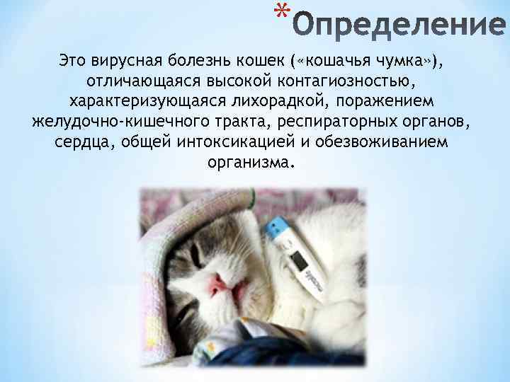 Чумка у кошек: причины, симптомы и лечение заболевания в домашних условиях (советы ветеринаров)