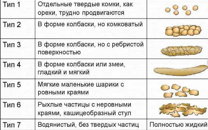 Зачем делают копрограмму? цель процедуры и расшифровка результатов * клиника диана в санкт-петербурге