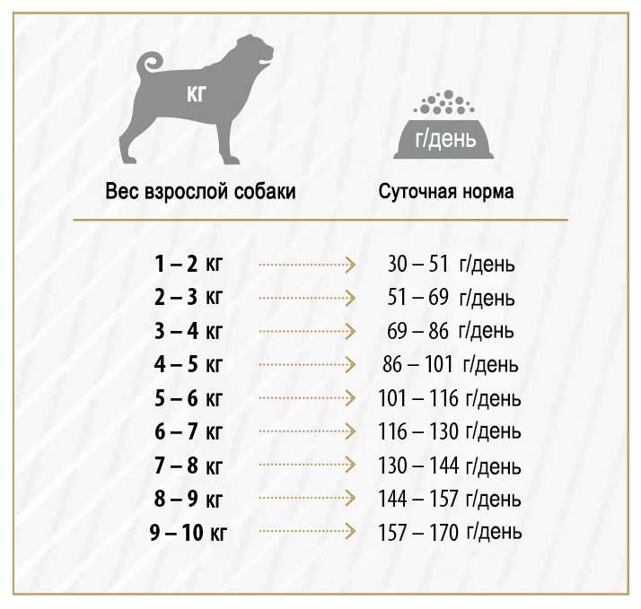 Сколько собака должна спать? — ответ ветеринара