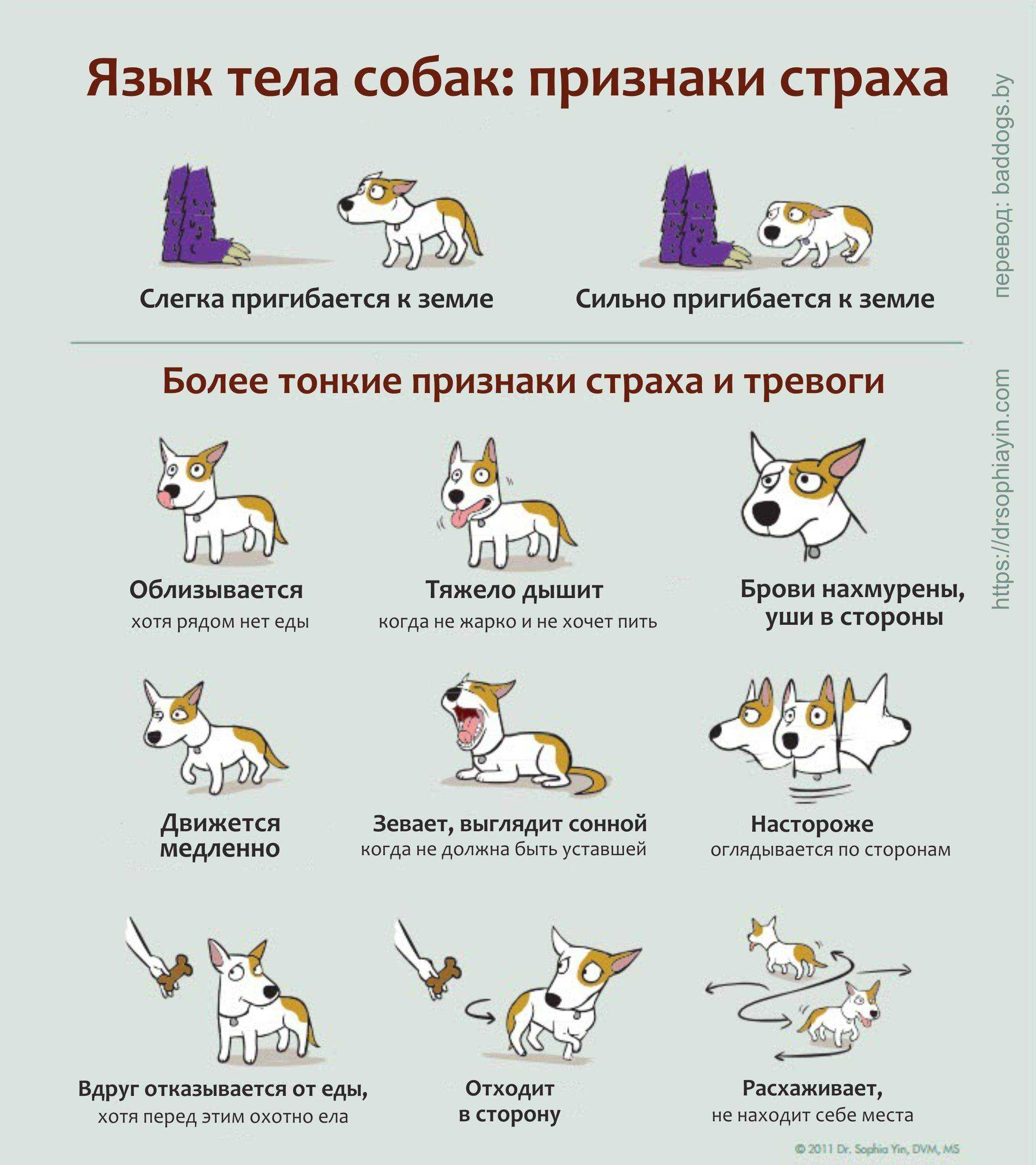 Что чувствует ребёнок в животе у мамы когда гладит живот, плачет