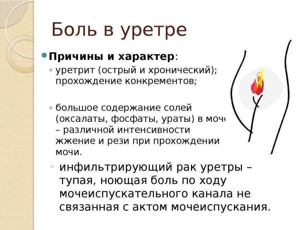 Инфекции мочевыводящих путей у взрослых - почему возникают, какие болезни вызывают и как лечатся * клиника диана в санкт-петербурге