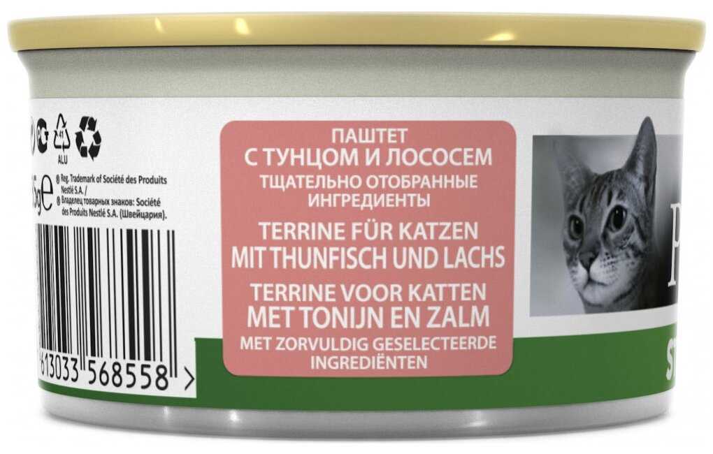 Кошка перестала есть сухой корм – что делать, почему животное отказывается от него?