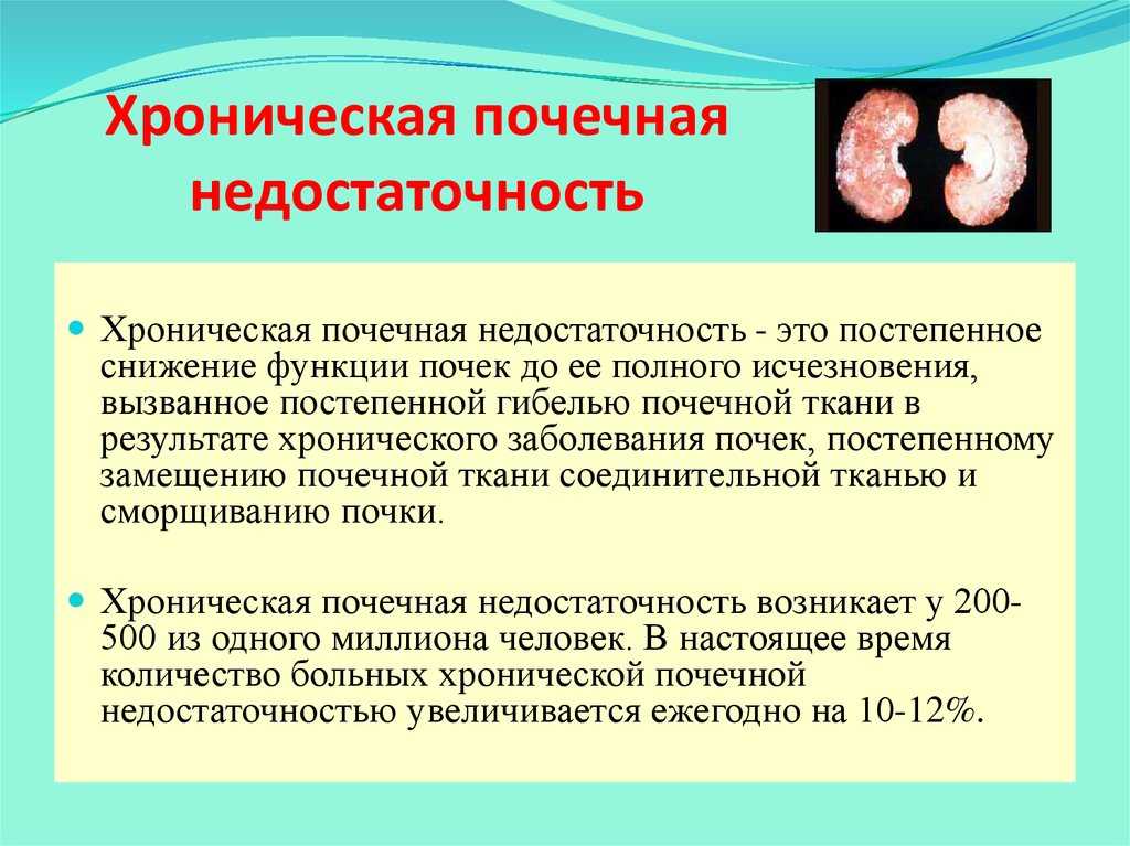 Почечная недостаточность у кошек
