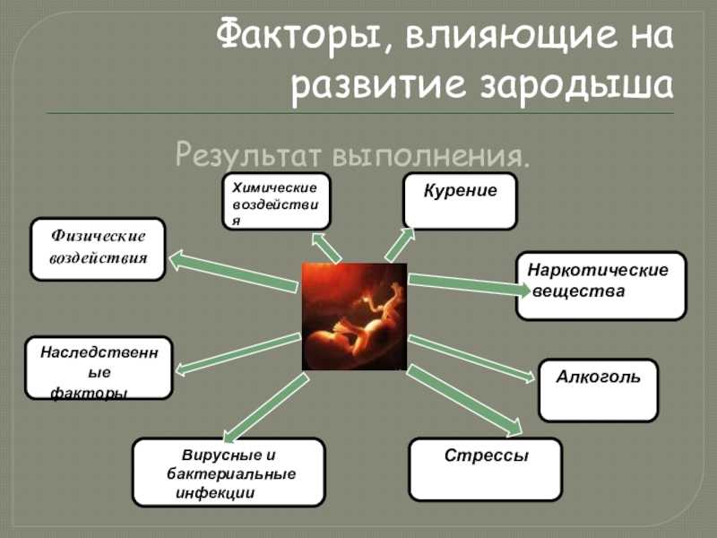 Почему возникает аносмия (потеря обоняния) и как ее лечить (в т.ч. после коронавируса)?