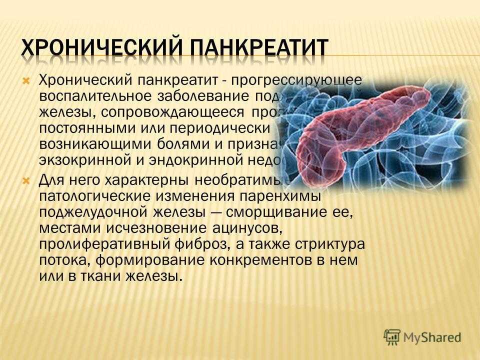 Панкреатит у собак: как распознать, лечить, способы профилактики.