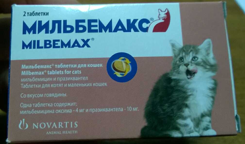 Таблетки, суспензия, капли на холку от глистов для кошек: какой глистогонный препарат выбрать для взрослых животных и котят, инструкция