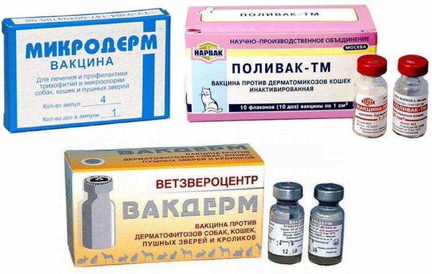 Опоясывающий лишай | университетская клиника