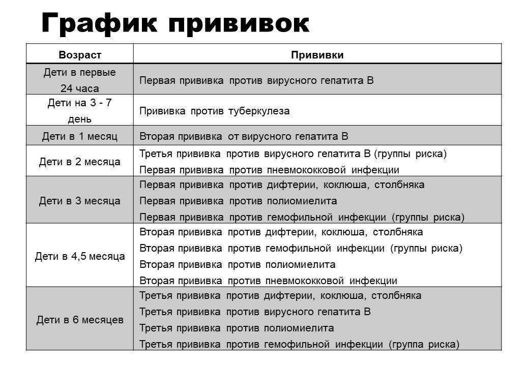 План прививок для собак