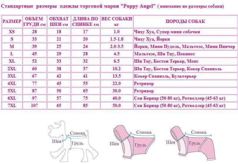 Что нужно сделать, чтобы принять участие в выставке кошек? - кошовед - сайт любителей кошек и котов