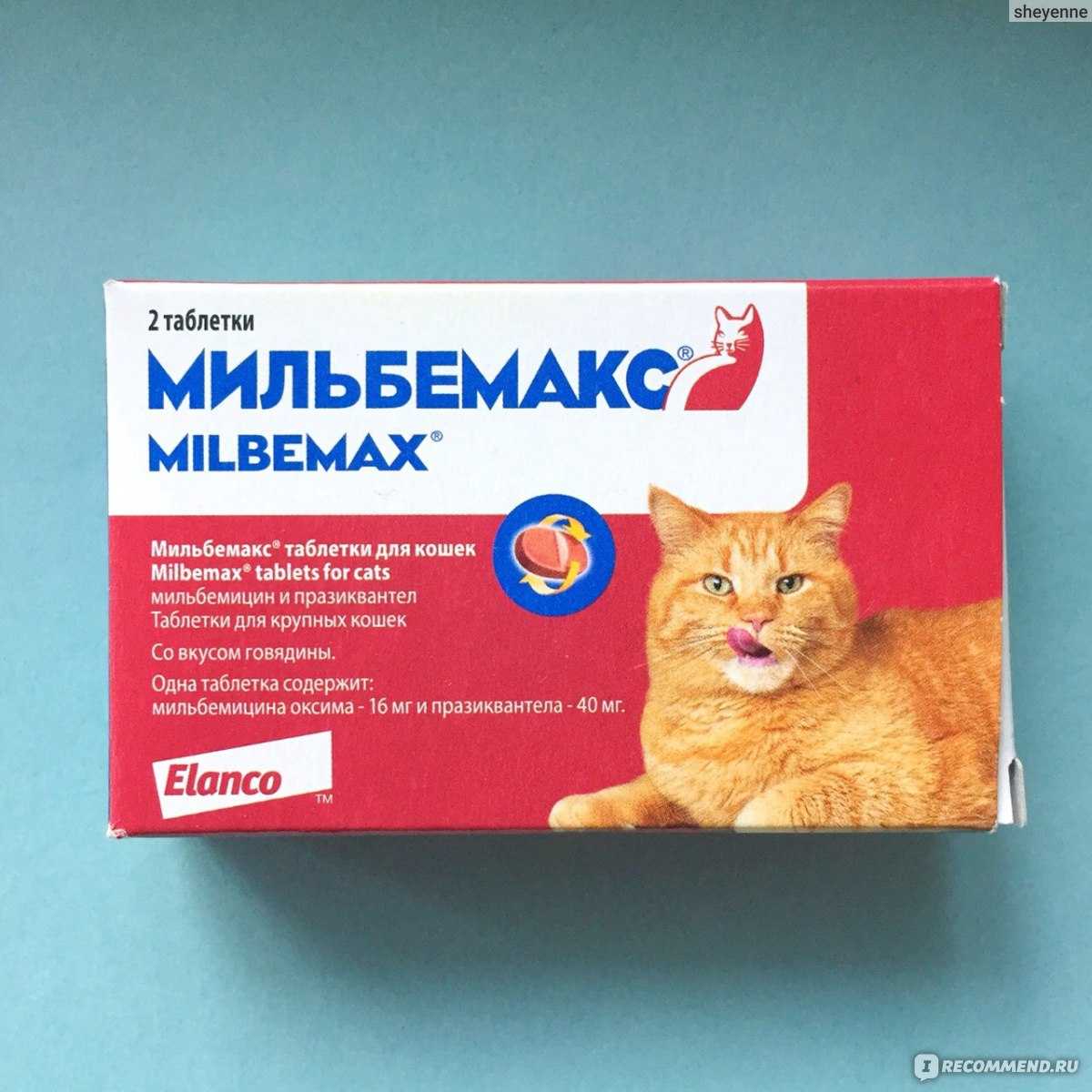 Мильбемакс для кошек фото