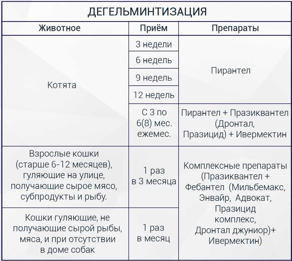 Вакцинация кошек