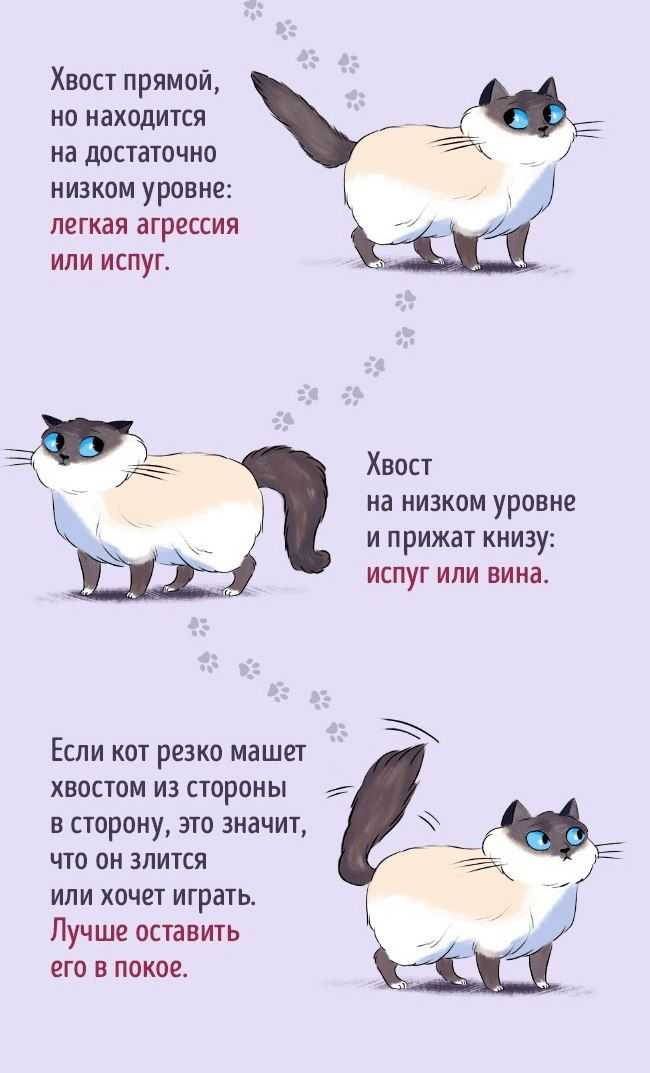 Русско-китайский разговорник, слова и фразы полезные для туриста в китае