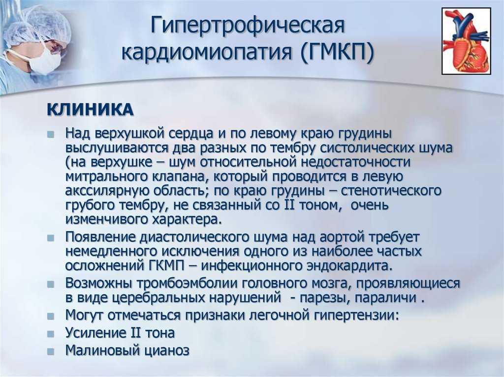 Кардиомиопатия у кошек: виды, причины, симптомы и лечение