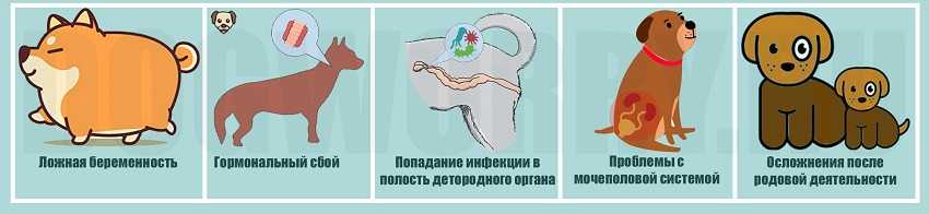 Ложные схватки при беременности