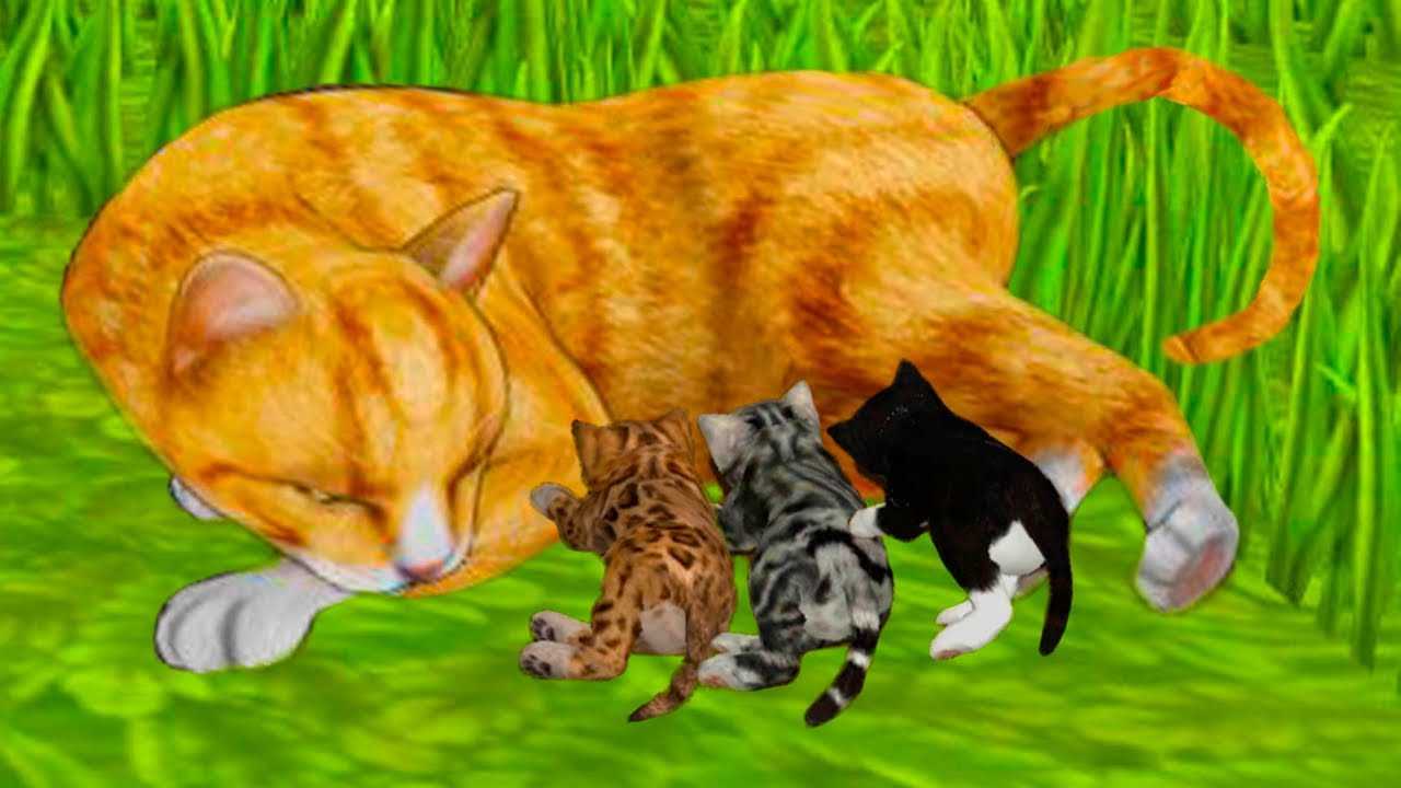 Игра кошки картинки. Игры про кошек и котят. Котенок кошка симулятор. Симулятор кота с котятами. Симулятор дикого кота.