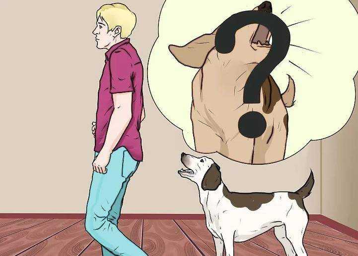 Как наказать собаку: 11 шагов (с иллюстрациями)