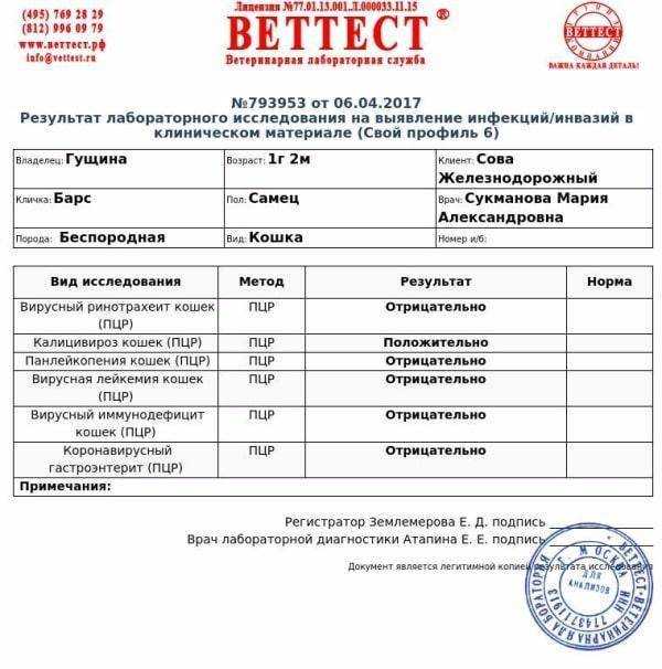 Симптомы коронавируса у человека -  что делать после появления первых симптомов? - медком