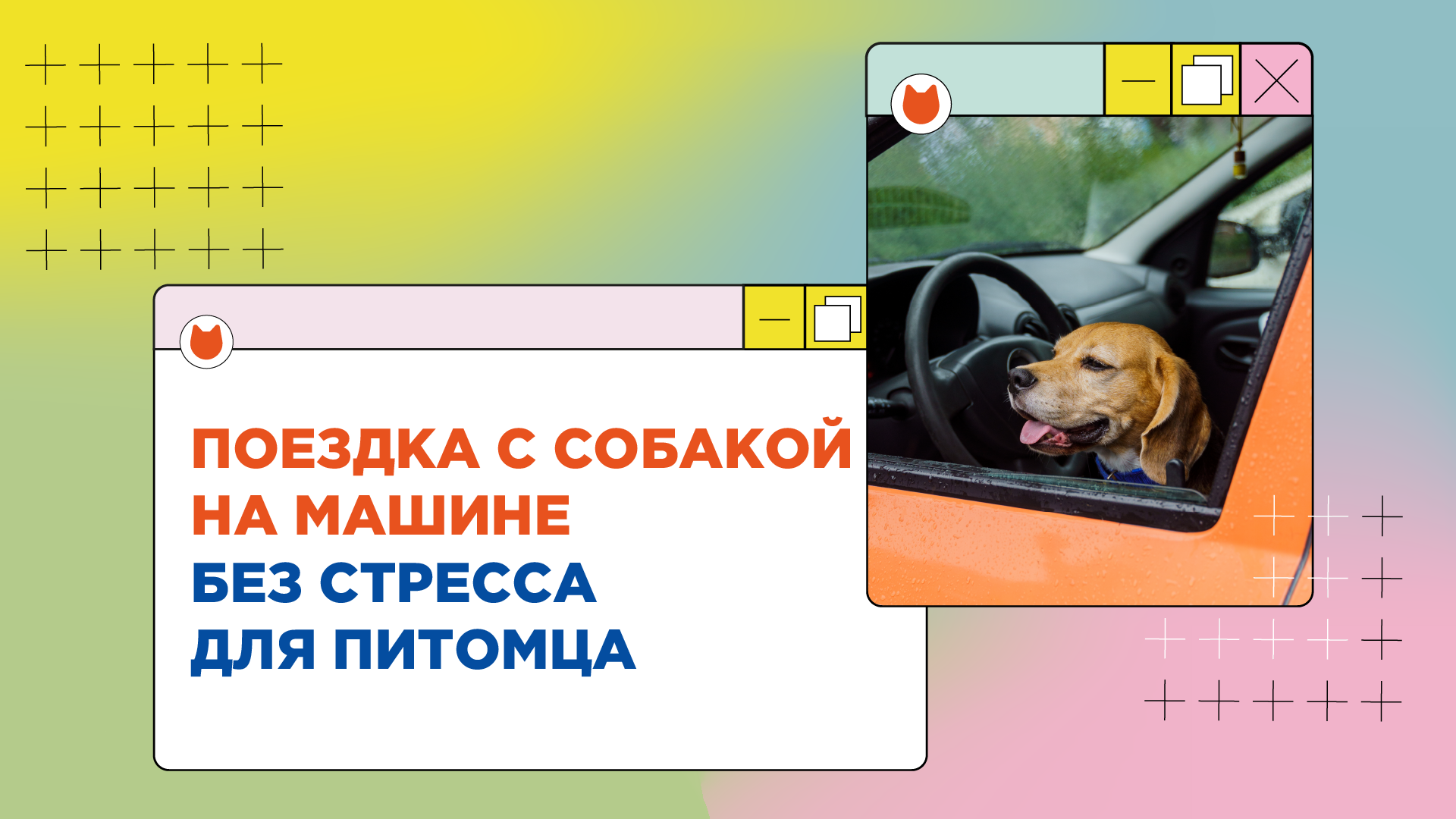 Пищевое отравление: как оказать себе первую помощь