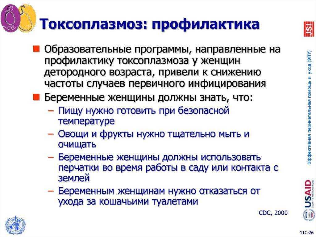 Токсоплазмоз у кошек: признаки, симптомы и лечение, анализы, прививка, чем опасен для человека