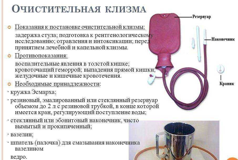 Из этой статьи Вы узнаете как сделать коту клизму в домашних условиях, как подготовиться к процедуре, когда и почему возникает такая необходимость