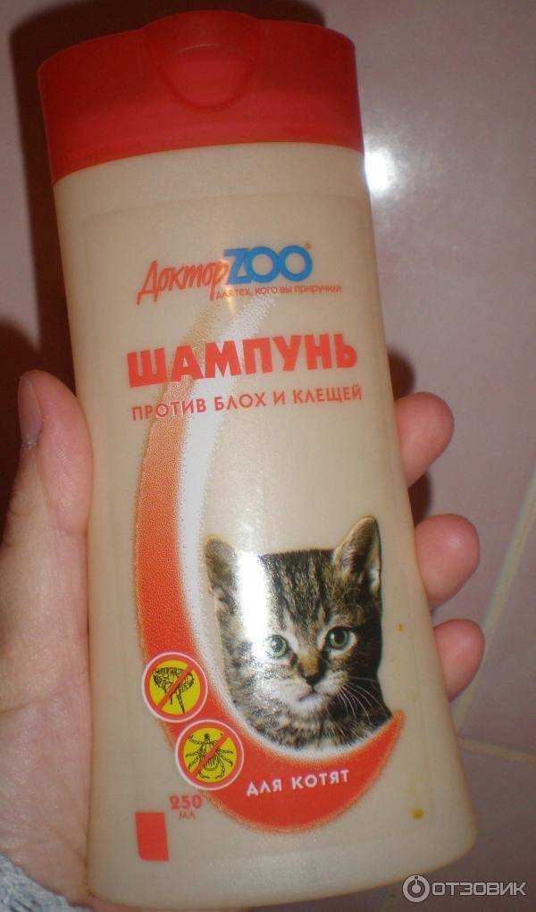 Заботимся о себе и своих питомцах: рейтинг лучших шампуней от блох в 2020 году