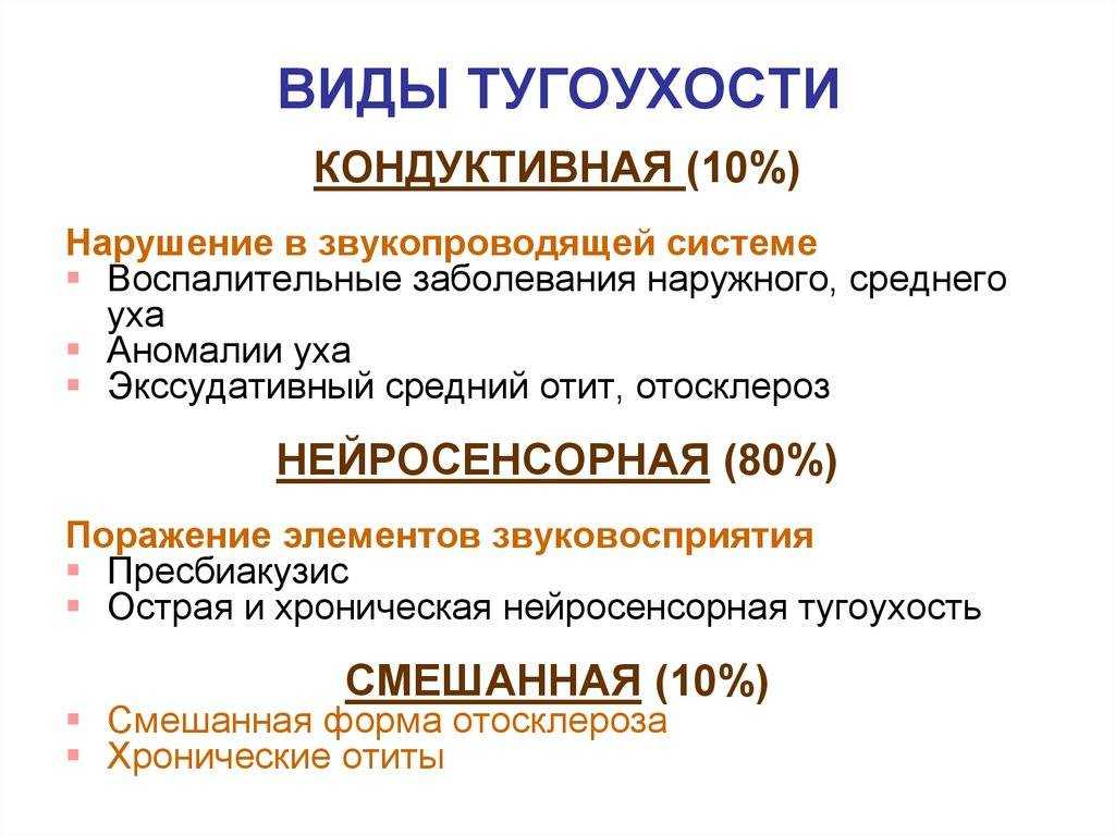 Уход за глухой кошкой | блог ветклиники "беланта"