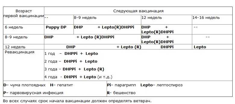 Нобивак для собак схема вакцинации щенков