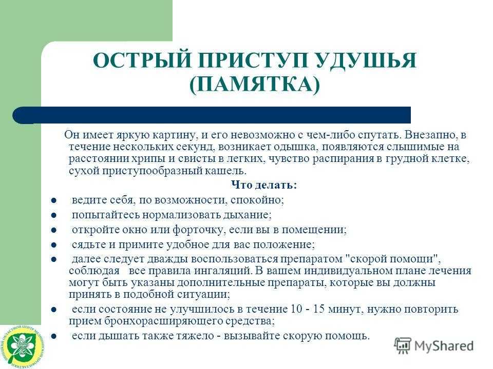 Астма у кошек: первые симптомы, причины и лечение приступов удушья
