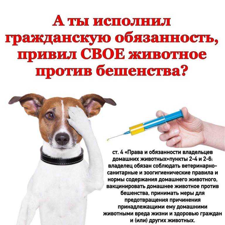 Обзор вакцин от ковид