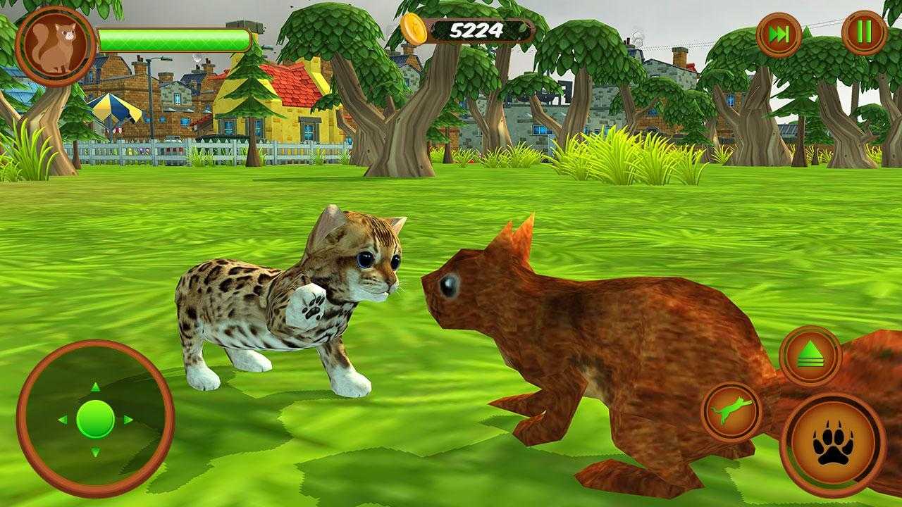 Подвижные игры с кошкой в домашних условиях