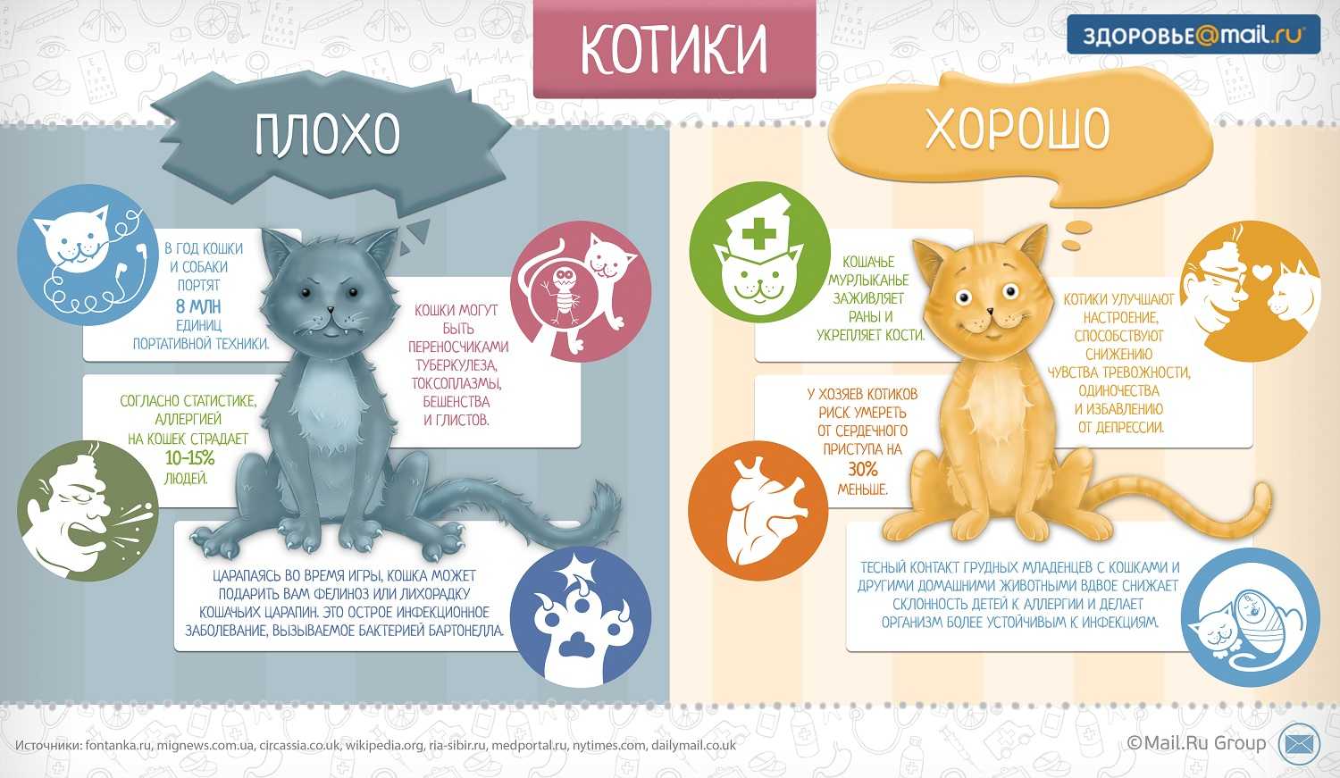 Питомцы плюсы и минусы. Инфографика кошки. Плюсы и минусы кошек. Инфографика про животных. Инфографика о котах.