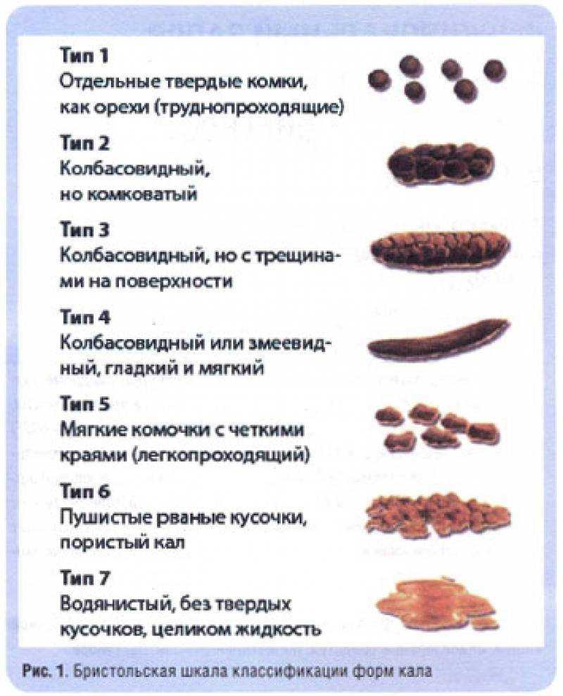 На что указывает цвет кала у собаки
