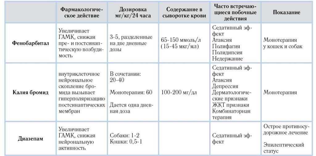 Эпилепсия у кошек, лечение: как прекратить приступы и помочь питомцу в домашних условиях?