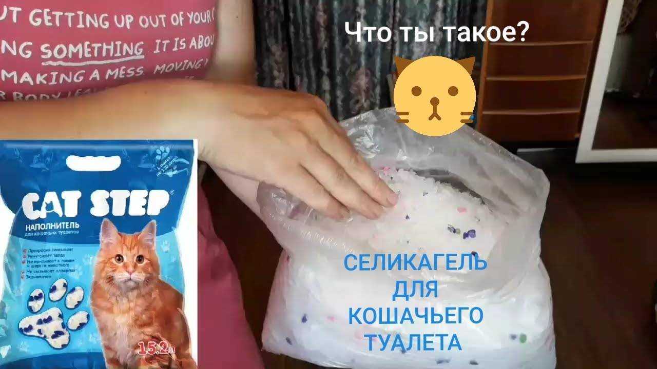 Почему кошка ест наполнитель для туалета