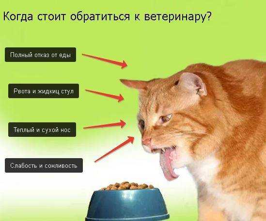 Как начинаются схватки