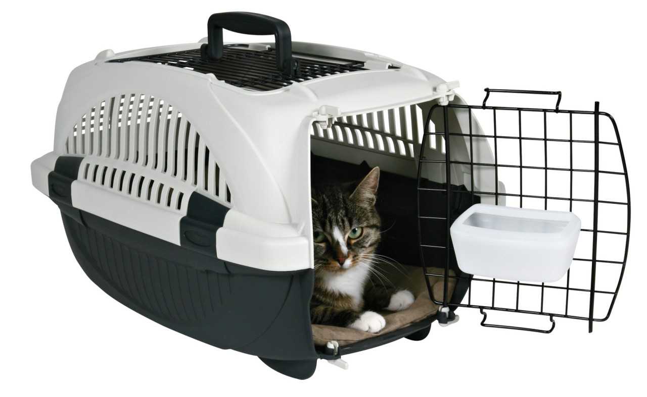 Как выбрать сумку переноску для кошек и других животных