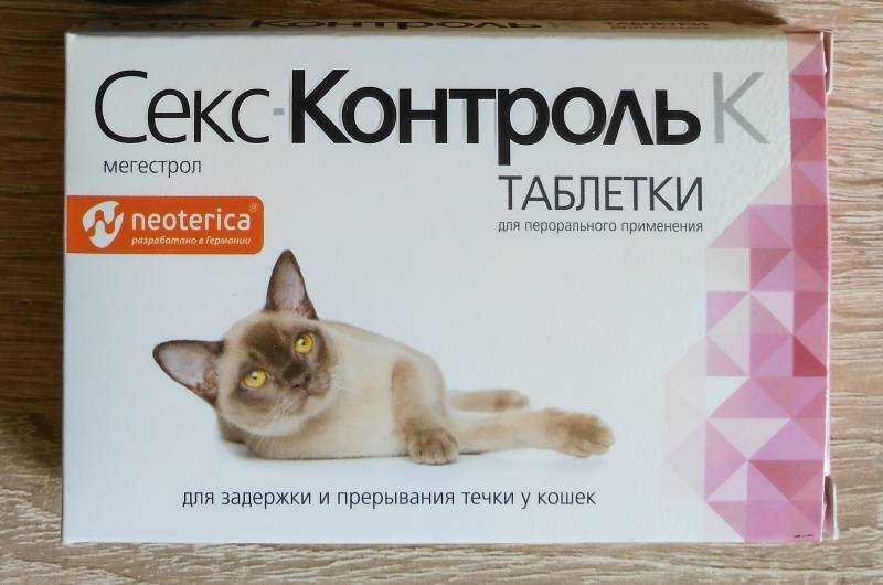 Кошка хочет кота. всё, что нужно знать об этом • слуцк • газета «інфа-кур’ер»