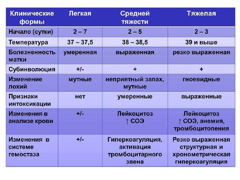 Эндометрит у кошки: причины, симптомы и способы лечения